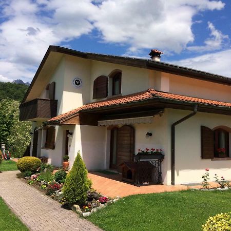 Bed and breakfast La Pecora Nera Bed & Breakfast Belluno Extérieur photo