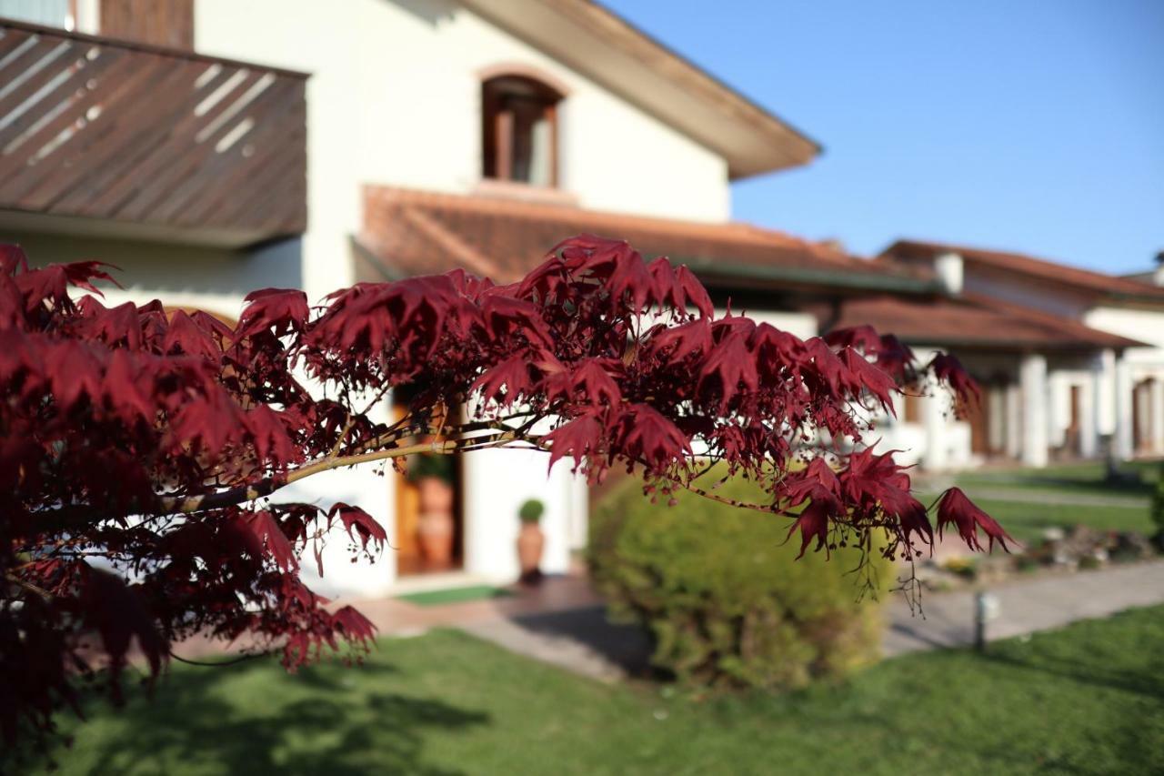 Bed and breakfast La Pecora Nera Bed & Breakfast Belluno Extérieur photo