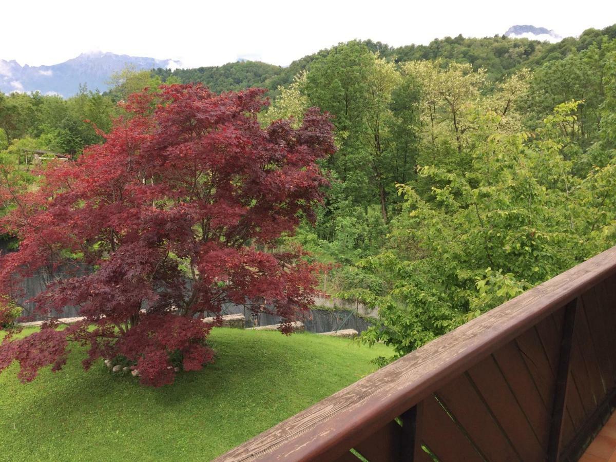 La Pecora Nera Bed & Breakfast Belluno Extérieur photo